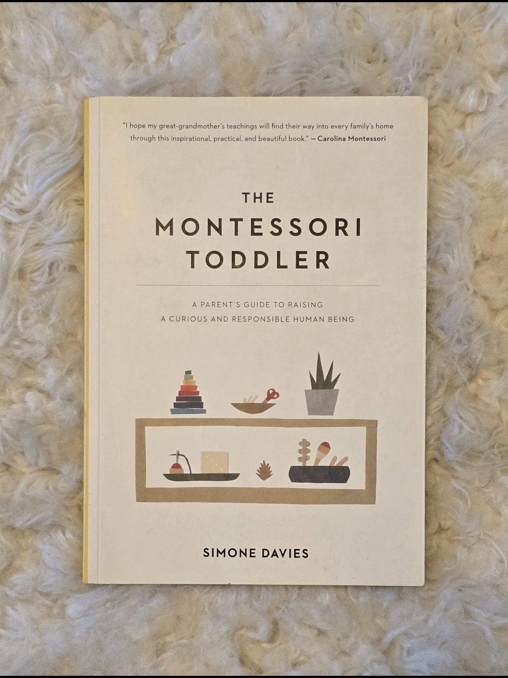 The Montessori Toddler By Simone Davies